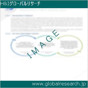 グローバルリサーチ調査レポートのイメージ